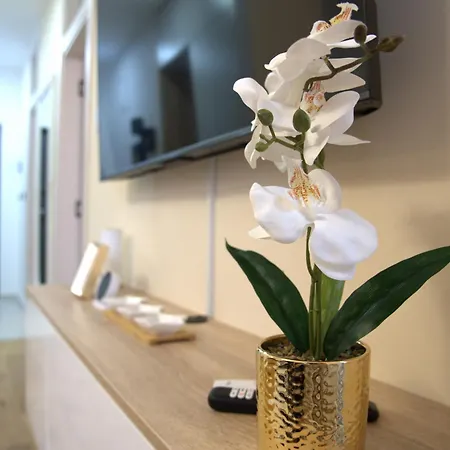 Alina Istocno Sarajevo With Private Garage * Lukavica