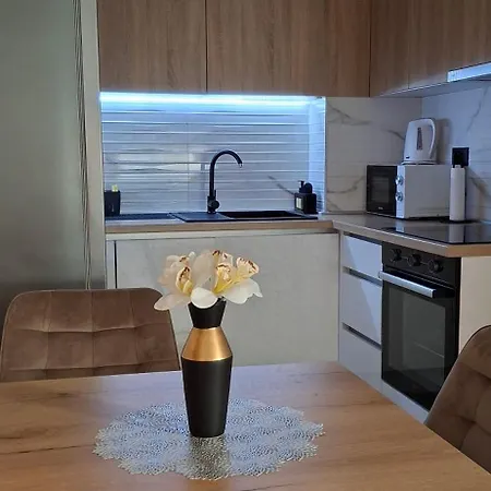 Apartman Alina Istocno Sarajevo With Private Garage