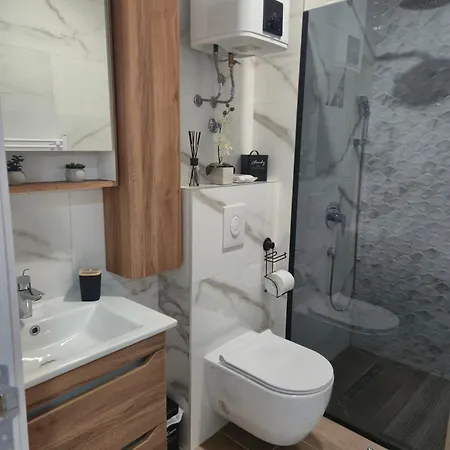 Alina Istocno Sarajevo With Private Garage アパート *