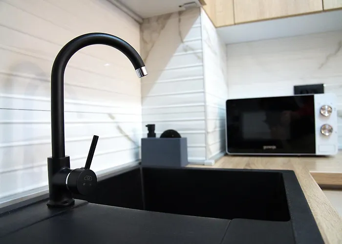 公寓 Alina Istocno Sarajevo With Private Garage