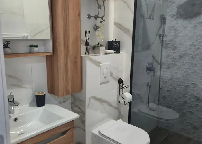 Alina Istocno Sarajevo With Private Garage 公寓 *